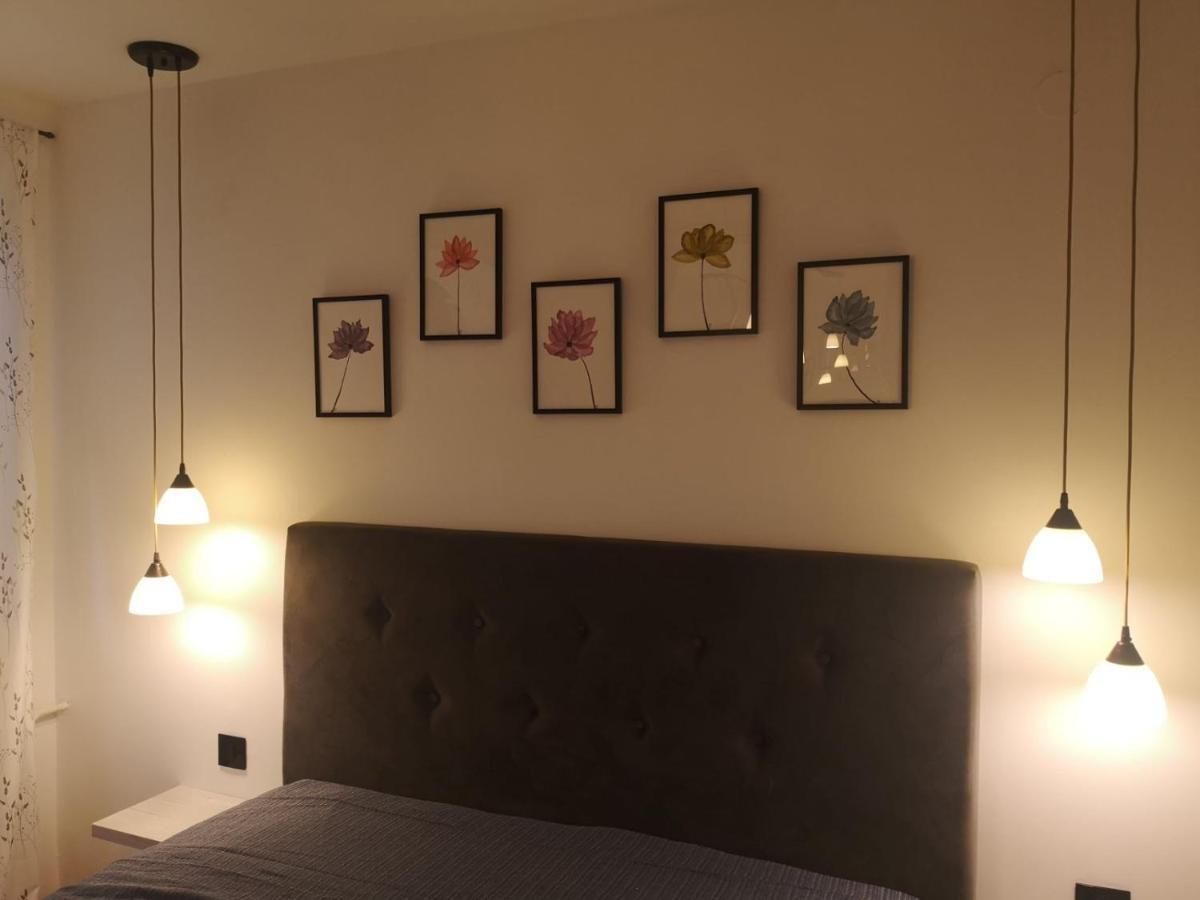 Apartman Darvin / Lux Belgrád Kültér fotó
