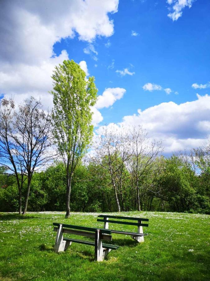 Apartman Darvin / Lux Belgrád Kültér fotó