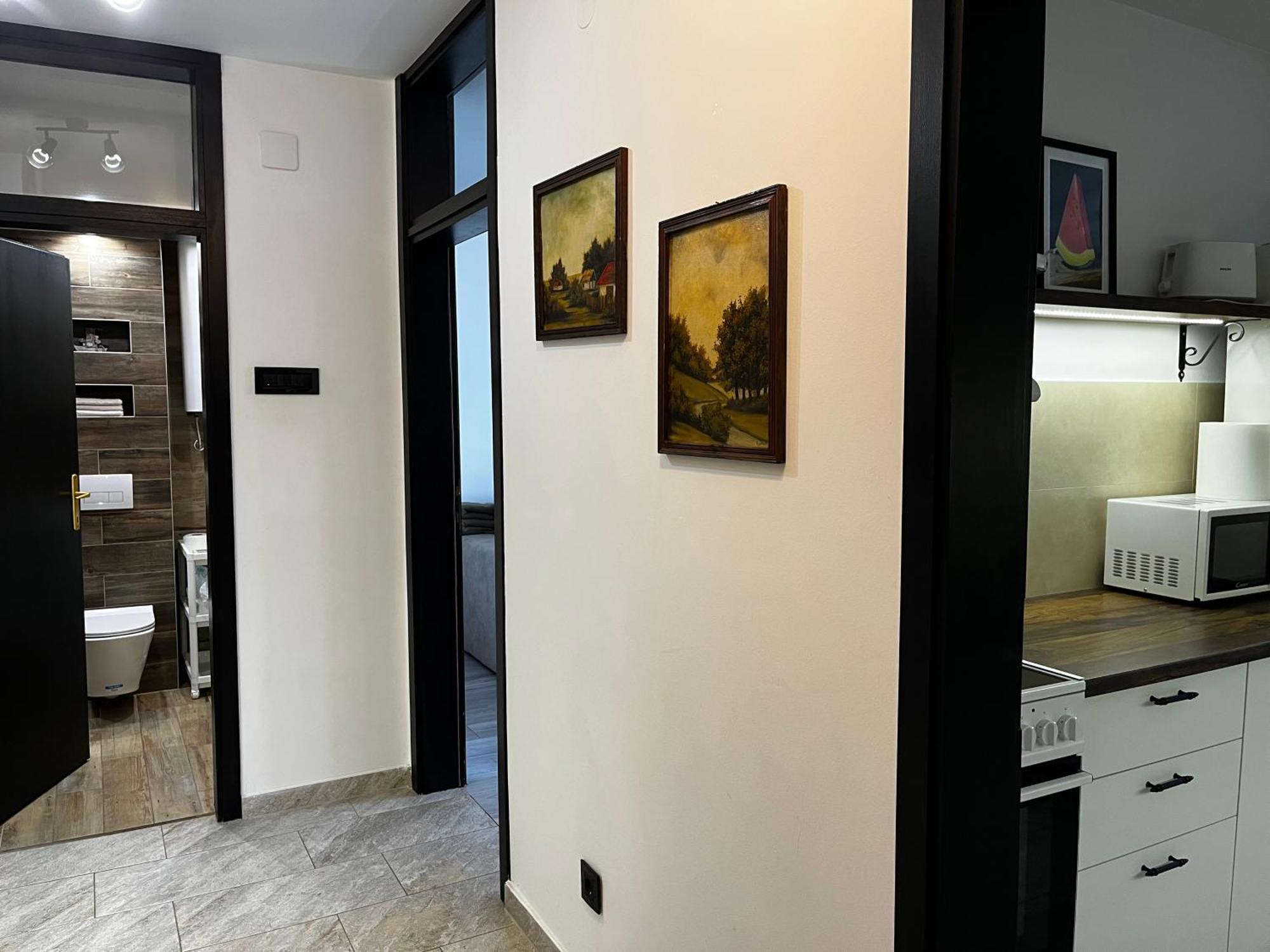 Apartman Darvin / Lux Belgrád Kültér fotó